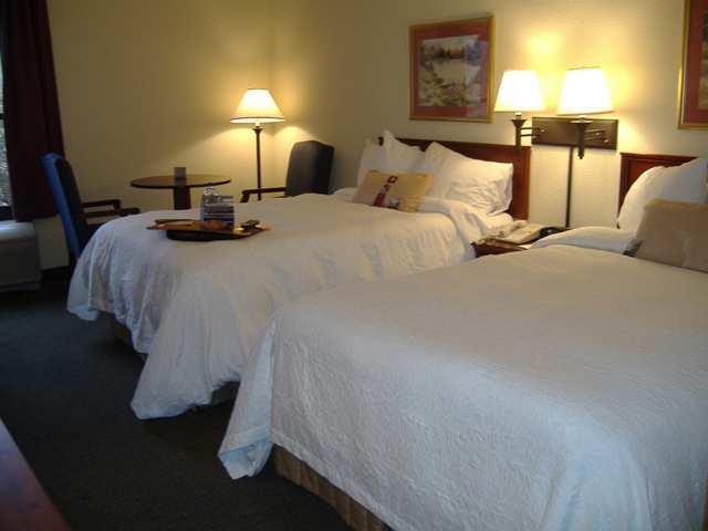Wyndham Garden Greenville / Spartanburg Airport Værelse billede